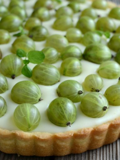 Tarta budyniowa z agrestem