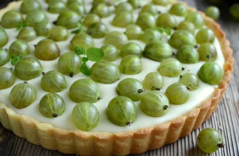 Tarta budyniowa z agrestem