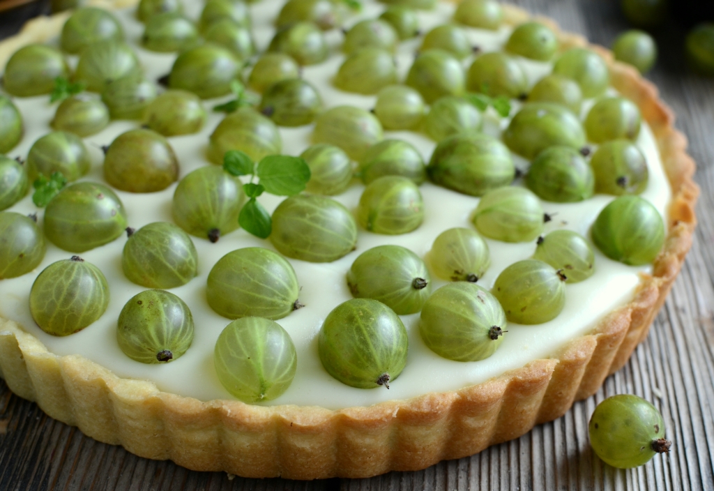 Tarta budyniowa z agrestem