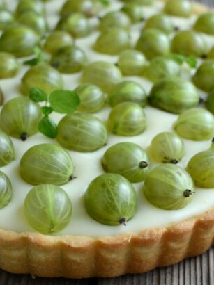 Tarta budyniowa z agrestem