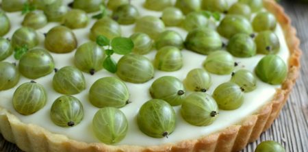Tarta budyniowa z agrestem