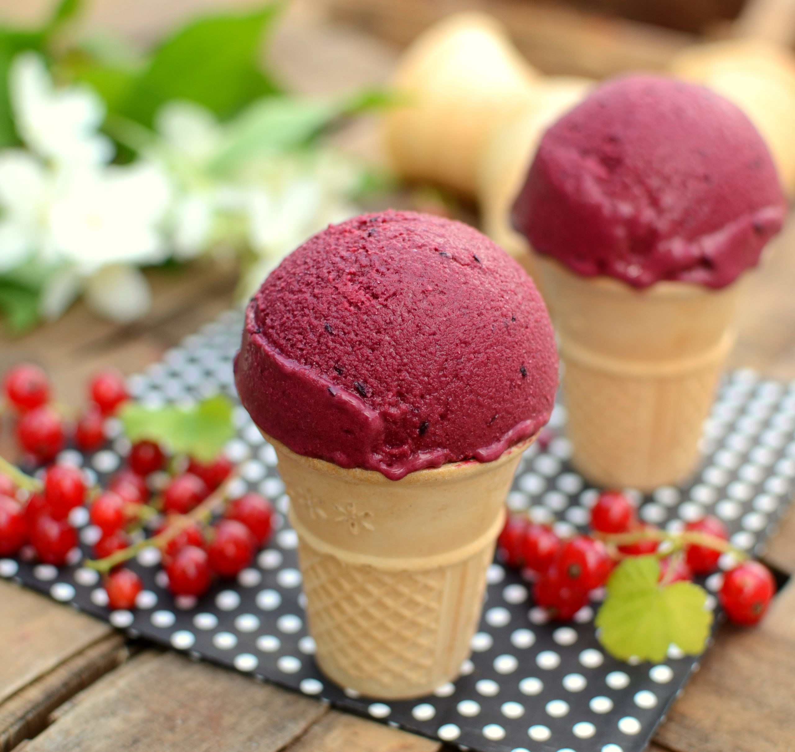 Lody porzeczkowe