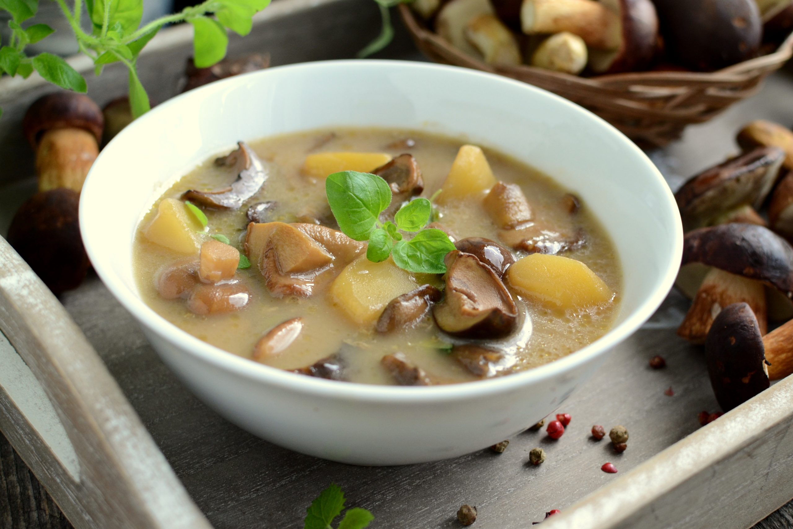 Zupa grzybowa