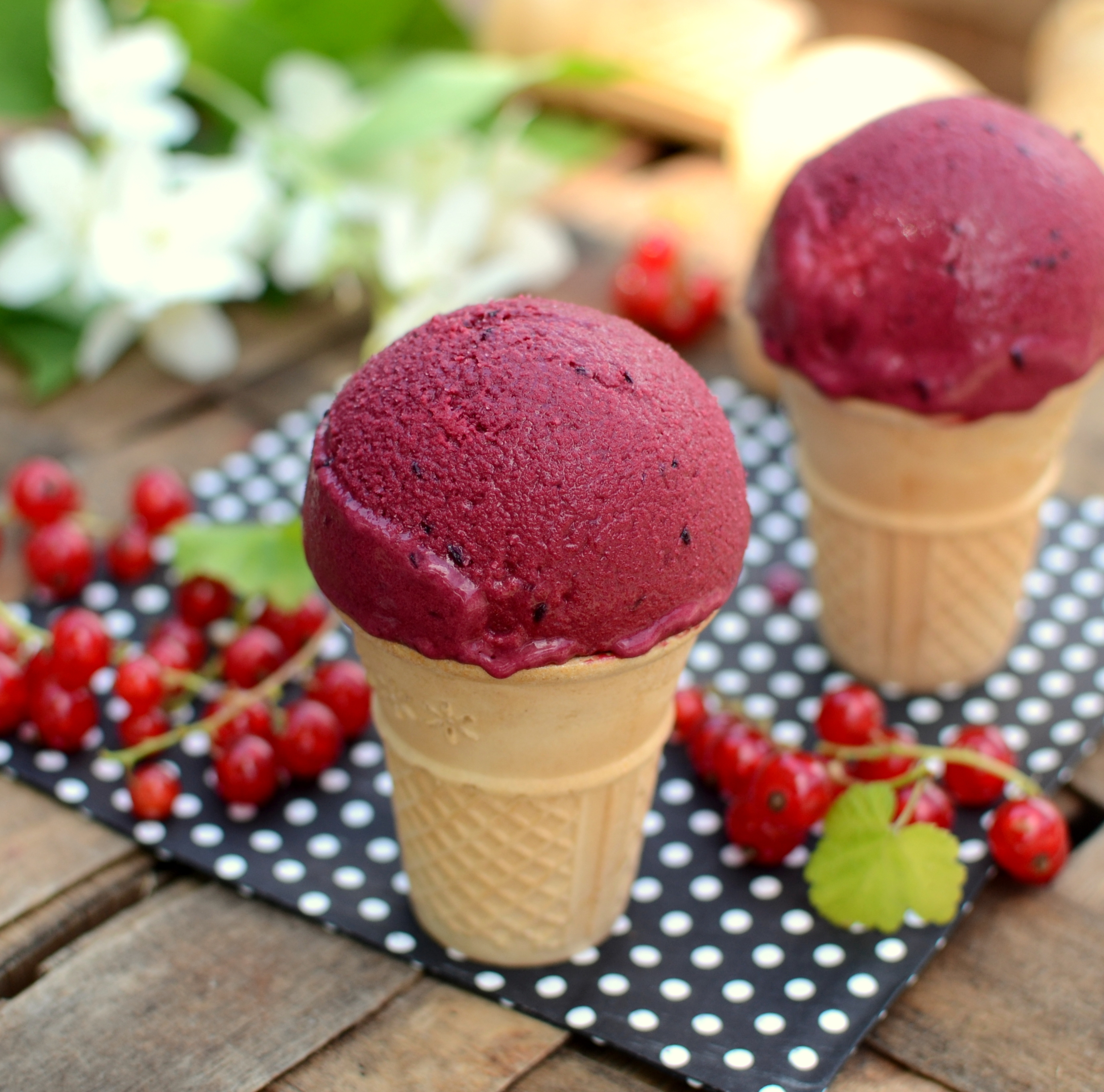 Lody porzeczkowe