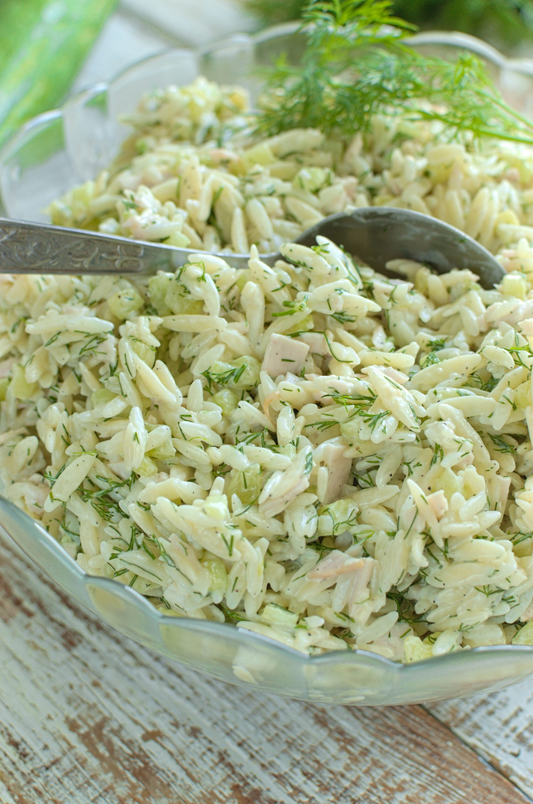 Sałatka z makaronem orzo, ogórkiem, koperkiem i drobiową wędliną
