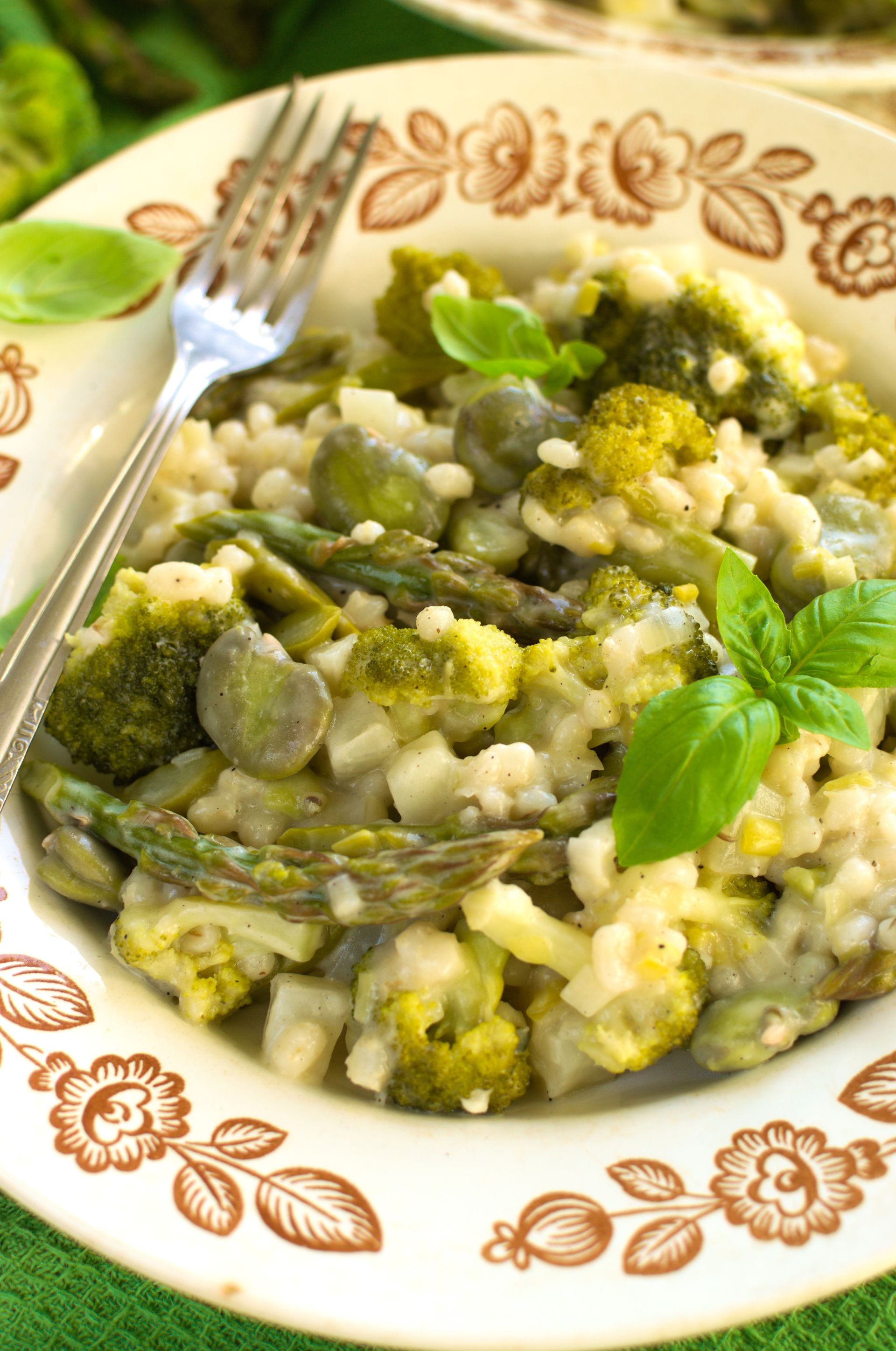 Kaszotto primavera