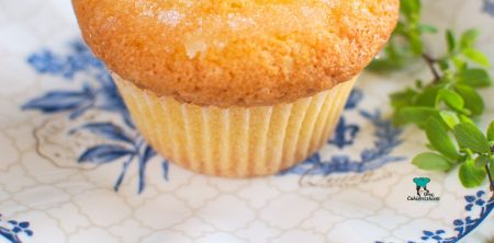 Angielskie babeczki cytrynowe (Lemon drizzle cakes)