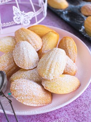 Magdalenki (madeleines)