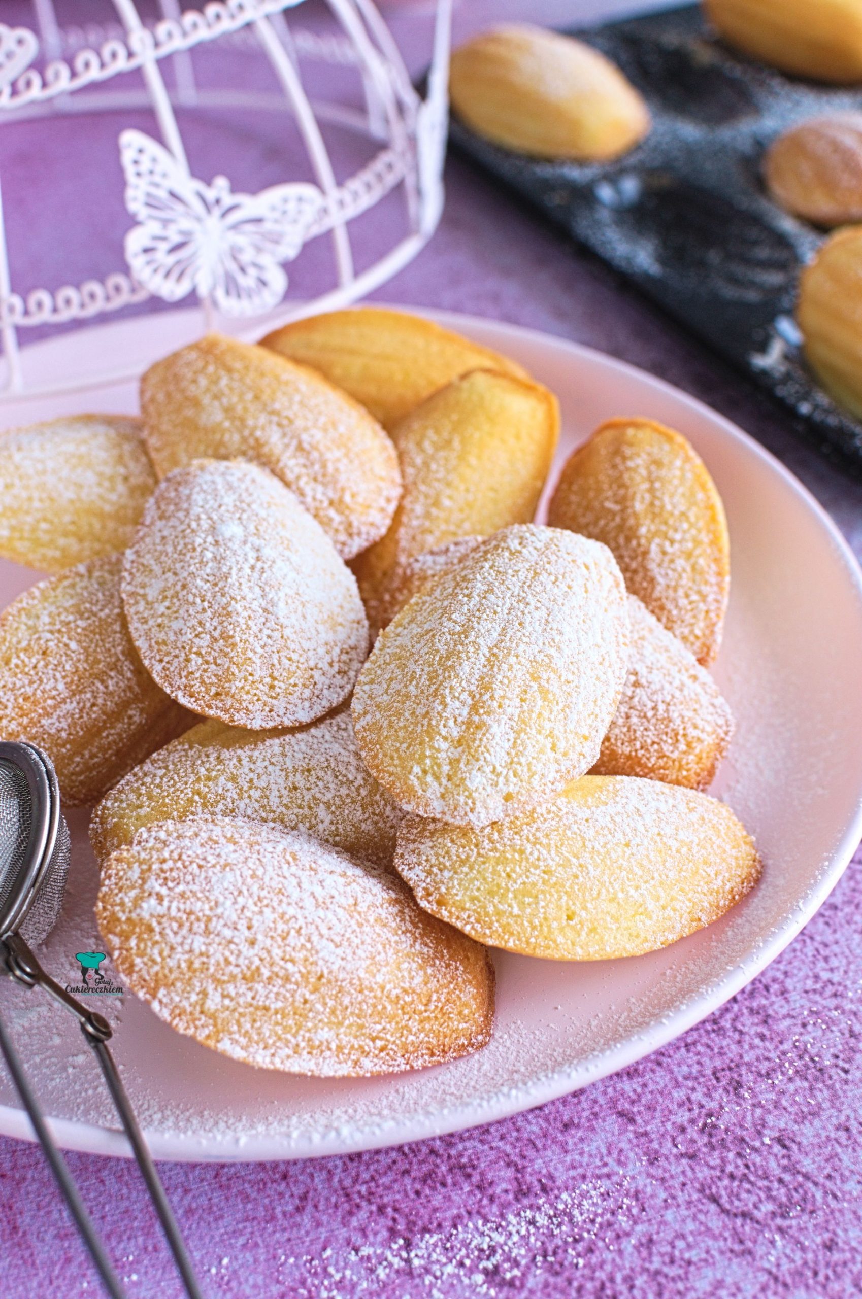 Magdalenki (madeleines)