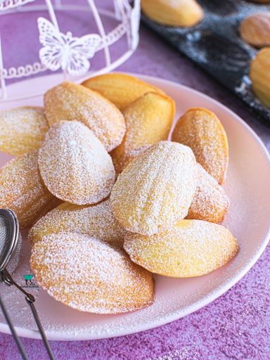 Magdalenki (madeleines)