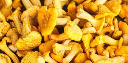 Jak czyścić kurki?