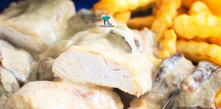 Kurczak w kremowym sosie grzybowym