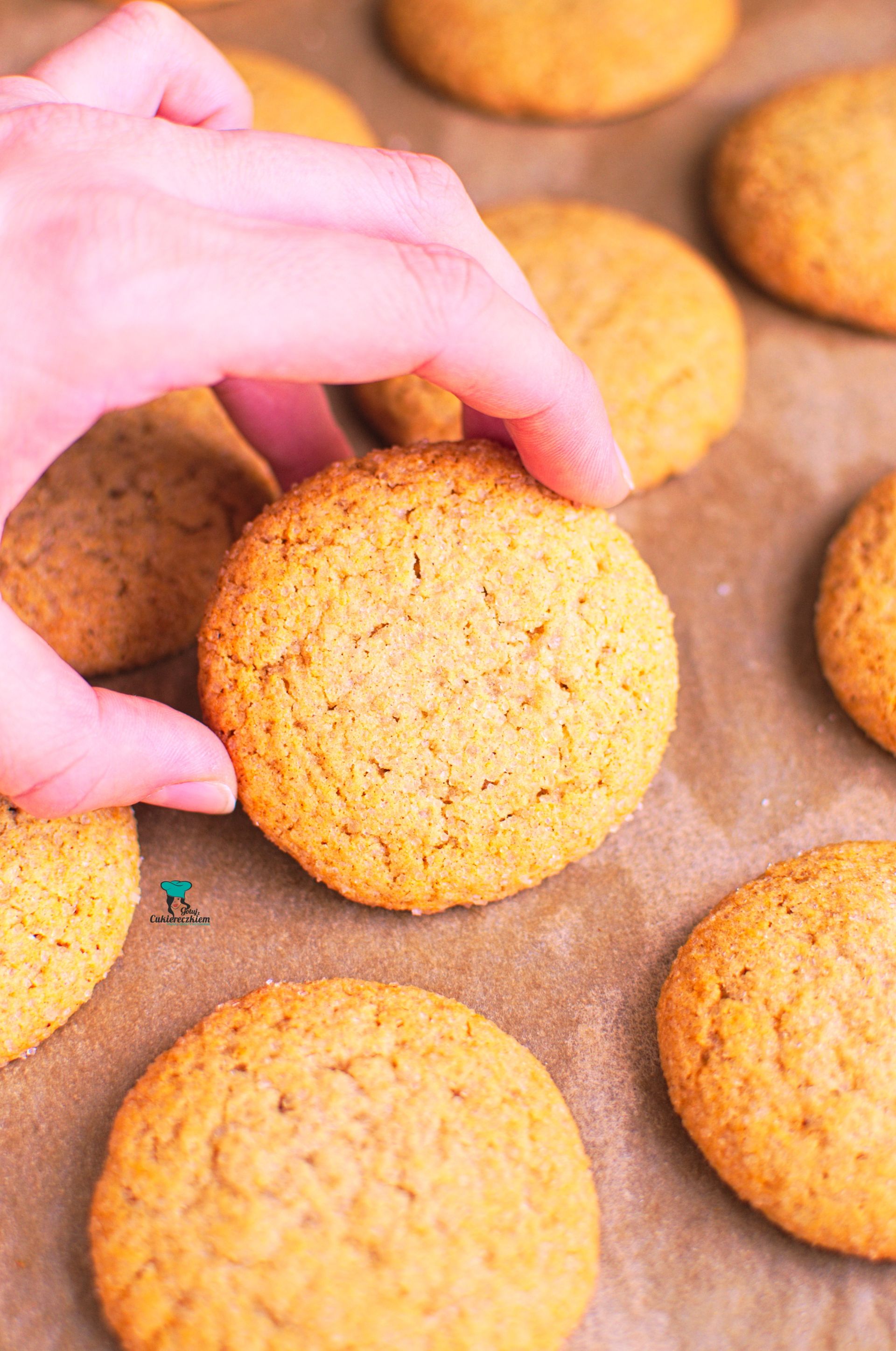 Ciastka imbirowe oblane białą czekoladą