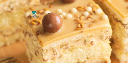 Ciasto jasny słonecznikowiec