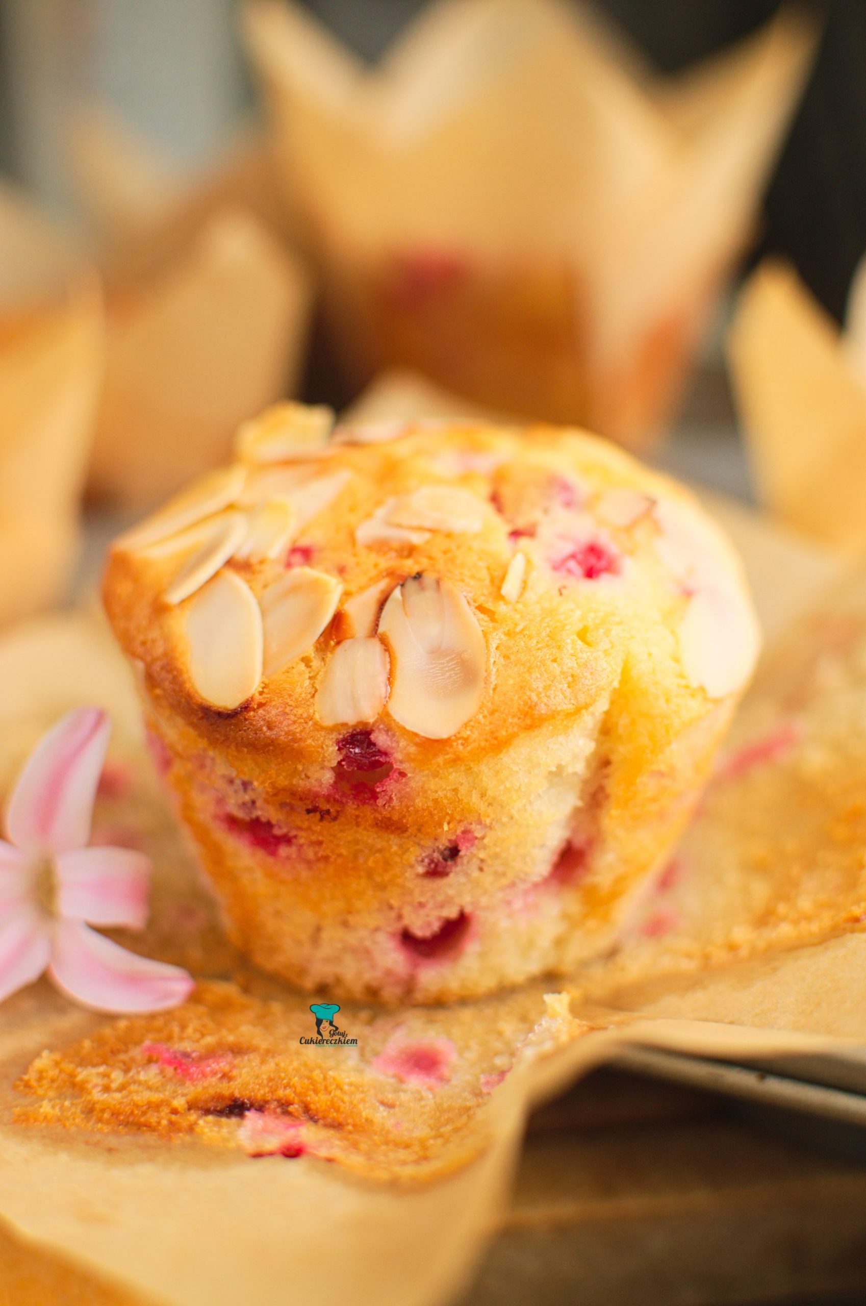 Muffiny z porzeczką i marcepanem